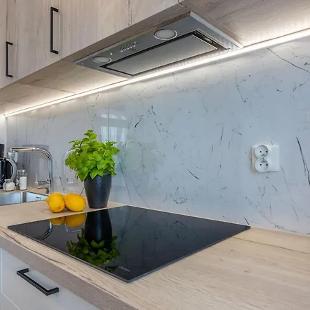 Baltycki A22 Am By Interhome 公寓 斯维诺乌伊希切