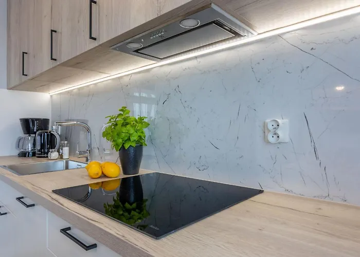 Baltycki A22 Am By Interhome 公寓 斯维诺乌伊希切